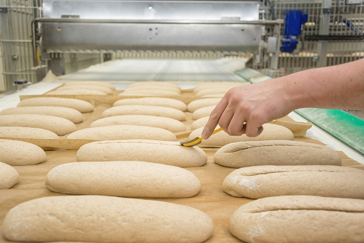 Découvrir le process de scarification du fabricant de pains et brioches congelés Briogel