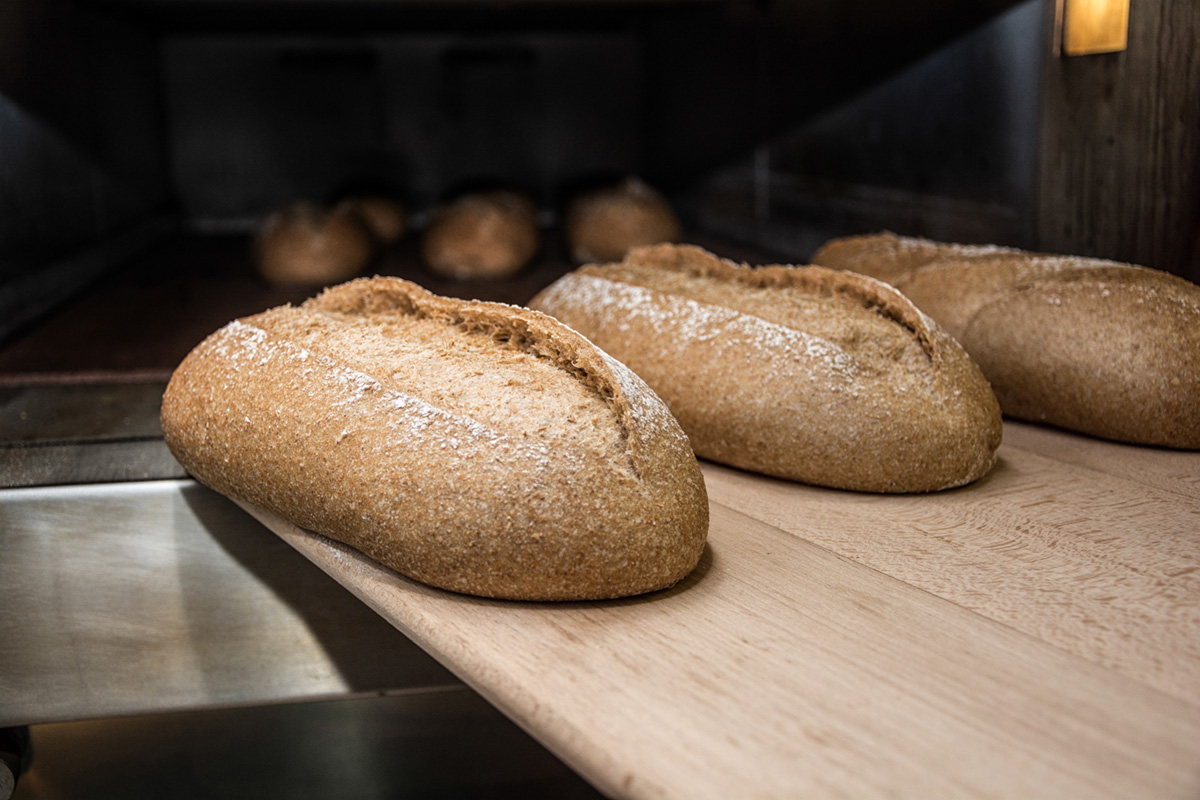 Découvrir le process de sortie de four du fabricant de pains et brioches congelés Briogel