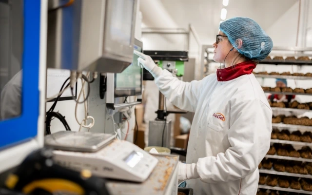 systeme-information-BRIOGEL-Report-Metiers-©Labarre-Charlyne-76-retouche